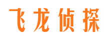 桐柏出轨取证